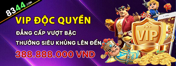 vnbet