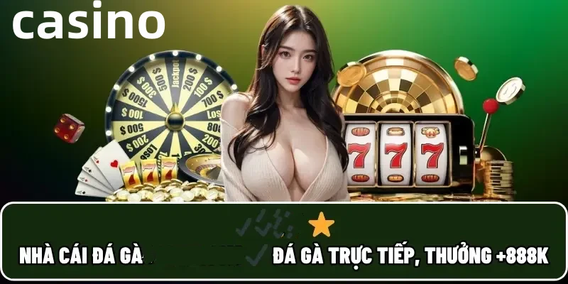 vnbet